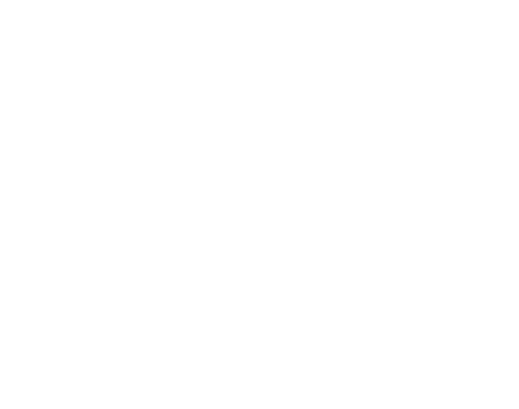 U.S. Air Force